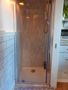 a shower with a glass door in a bathroom at The Wee Tiny Home in Derry Londonderry