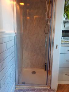 a shower with a glass door in a bathroom at The Wee Tiny Home in Eglinton
