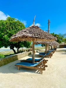 una fila de sillas de playa con sombrilla de paja en White Star Ocean View Hotel en Paje