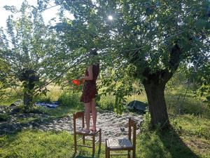 a woman standing on a chair under a tree at Yanvii_factory  +11 photos