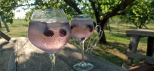 two glasses of wine sitting on a wooden table at Yanvii_factory 