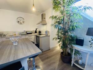 uma cozinha com uma mesa e um vaso de plantas em Le Pigeonnier em Rodez