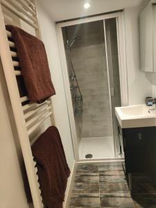 uma casa de banho com um chuveiro e um lavatório. em Le Pigeonnier em Rodez