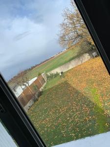 a view from a car window of a field of leaves at Studio coquet in Morangis