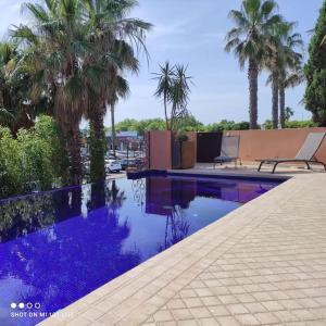 een zwembad met palmbomen en blauw water bij Chambre Emeraude, Riad 9 Couple only au village naturiste in Cap d'Agde