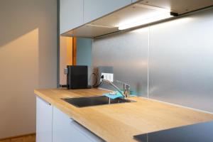 Kuchyňa alebo kuchynka v ubytovaní Apartment Sonnleitner