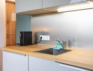 Kuchyň nebo kuchyňský kout v ubytování Sonnleitner Apartments