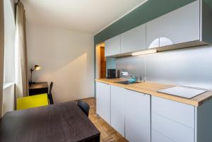 Kuchyňa alebo kuchynka v ubytovaní Apartment Sonnleitner