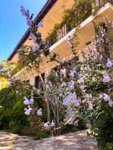 Foto da galeria de Faralia Hotel em Faralya