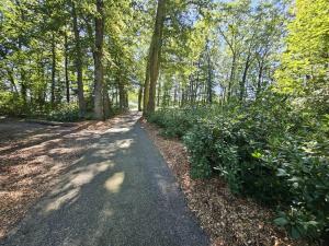un camino en una zona boscosa con árboles en Landgoed De Lavei, en Weleveld