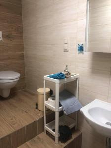 ein Bad mit einem WC und einem Waschbecken in der Unterkunft Traper Apartamenty in Sopot