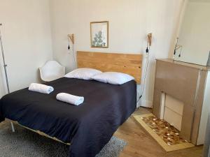 ein Schlafzimmer mit einem Bett mit zwei Kissen darauf in der Unterkunft La grande maison-Toulouse Garonne-parking/jardin in Toulouse
