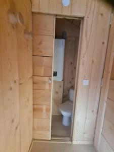 a bathroom with a toilet in a wooden wall at Le Chalet Du Blanc Spa yoga in Aillon-le-Jeune