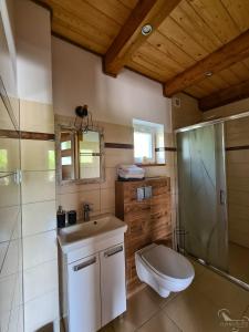 a bathroom with a toilet and a sink and a shower at Domki Pokoje Fil in Solina