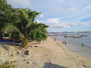 a beach with a palm tree and boats in the water at Havengate Homestay in Butterworth