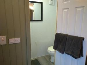 a bathroom with a toilet and a mirror and towels at Shepherds hut in Weymouth