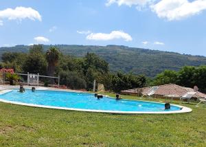 a large blue swimming pool in the grass at Villa Mimosa Tropea in Ricadi