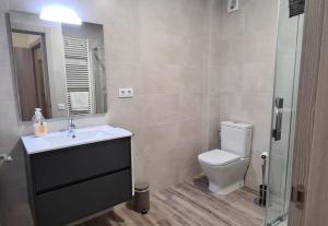 a bathroom with a toilet and a sink and a mirror at Apartamentos La Era de Pasé in Sopeira