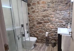 a bathroom with a toilet and a stone wall at Apartamentos La Era de Pasé in Sopeira