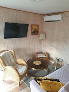 Televízia a/alebo spoločenská miestnosť v ubytovaní Apartamenty pod Wilczakiem
