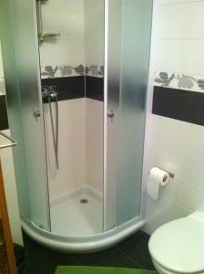 a glass shower in a bathroom with a toilet at Apartment Sinčić in Novigrad Istria