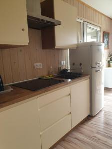 Kuchyňa alebo kuchynka v ubytovaní Apartamenty pod Wilczakiem