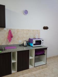 a kitchen with a counter with a microwave on it at Violeta Monoambiente in Salta +14 photos