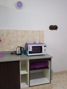 Un microondas colocado encima de una encimera de cocina. en Violeta Monoambiente, en Salta