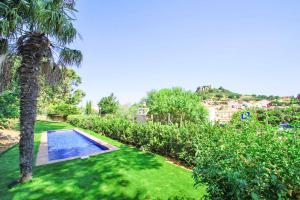 een tuin met een zwembad en een palmboom bij Casa Can Pau in Begur