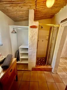 baño con ducha y puerta de cristal en Kranskloof Country Lodge, en Oudtshoorn