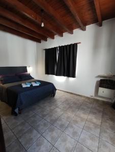 1 dormitorio con 1 cama y ventana en una habitación en Los Nietos Soler en Mendoza