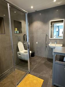 a bathroom with a shower and a toilet and a sink at Modern Studio Flat near Highbury & Islington station in London
