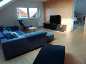 a living room with a couch and a tv at SOLADOM in Efringen-Kirchen