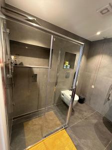 La salle de bains est pourvue d'une cabine de douche et de toilettes. dans l'établissement Modern Studio Flat near Highbury & Islington station, à Londres
