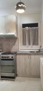 オラデアにあるApartament Ultra-Central Lux -,, AndreCasu ,,のキッチン(コンロ、窓付)