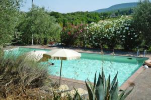 a swimming pool with an umbrella and some flowers at Apartment in Sovicille with heating in Sovicille