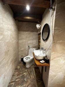 a bathroom with a toilet and a sink and a mirror at Къща за гости ,,Горски полъх” in Zaychari +20 photos