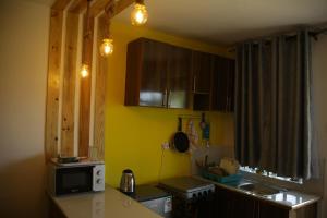 una pequeña cocina con encimera y microondas en ENz Lovely Apartment 9, en Bungoma