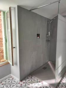 a shower with a glass door in a bathroom at Les Hirondelles et la glycine in Montréal