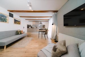 ein Wohnzimmer mit einem Sofa und einem Flachbild-TV in der Unterkunft Black Forest Dream Apartments in Feldberg