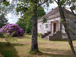 Κήπος έξω από το Le Gite d'Auvergne