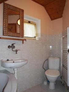 Un baño con lavabo, inodoro y espejo. en Domeček Karlov, en Malá Morávka 20 fotos más