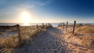 un chemin en terre menant à la plage avec une clôture dans l'établissement Sunny dunes, à Zandvoort