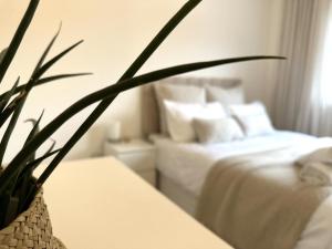 a bedroom with a bed and a plant on a table at Private room with en-suite and parking in shared flat in Glasgow