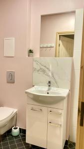 Baño blanco con lavabo y aseo en Kastanimaja Apartments en Tartu