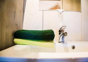a green and yellow sponge sitting on top of a sink at Cottage de Luxe in Harderwijk