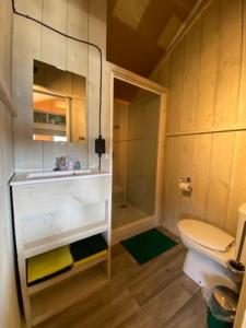 y baño con aseo, lavabo y ducha. en Cottage de Luxe en Harderwijk