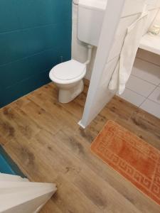 baño con aseo y suelo de madera en DOLCE VITA CASA, en Pápa