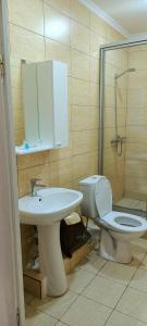 a bathroom with a toilet and a sink and a shower at ЭДЕМ in Taraz