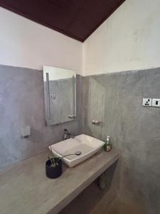 een badkamer met een wastafel en een spiegel bij LOHAS Villa Hiriketiya in Dikwella
